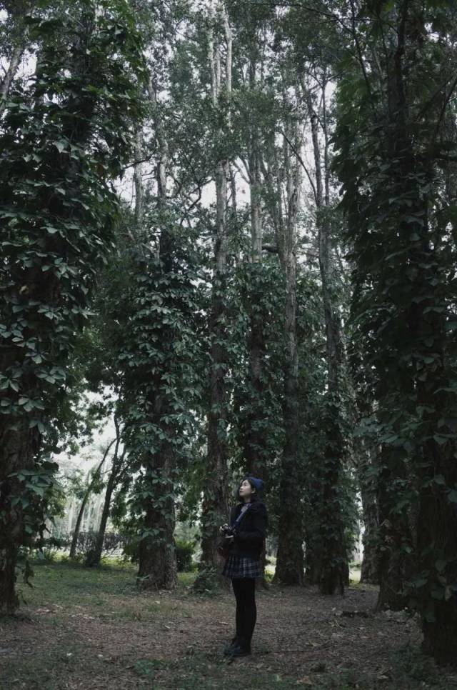 吴宣仪美美桑内手势舞