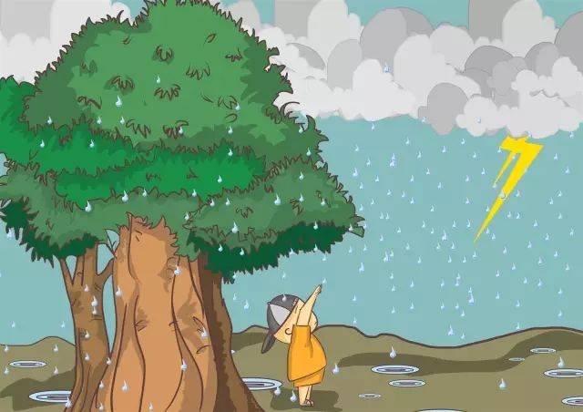 雷电 8级大风!进入雷雨天,这些事项你一定要记住!