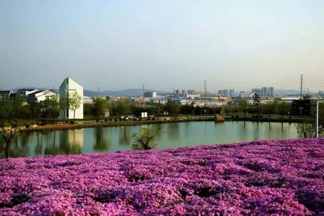 春光正好,美景当前,快来大溪谷邂逅春天吧!