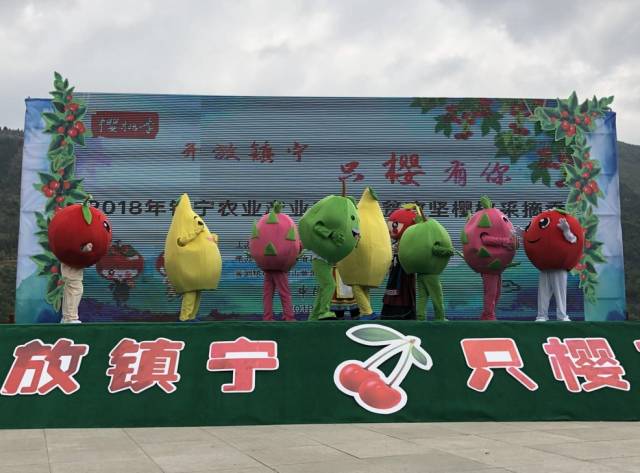 "开放镇宁·只樱有你"——2018年镇宁樱桃采摘季主题日活动成功举行