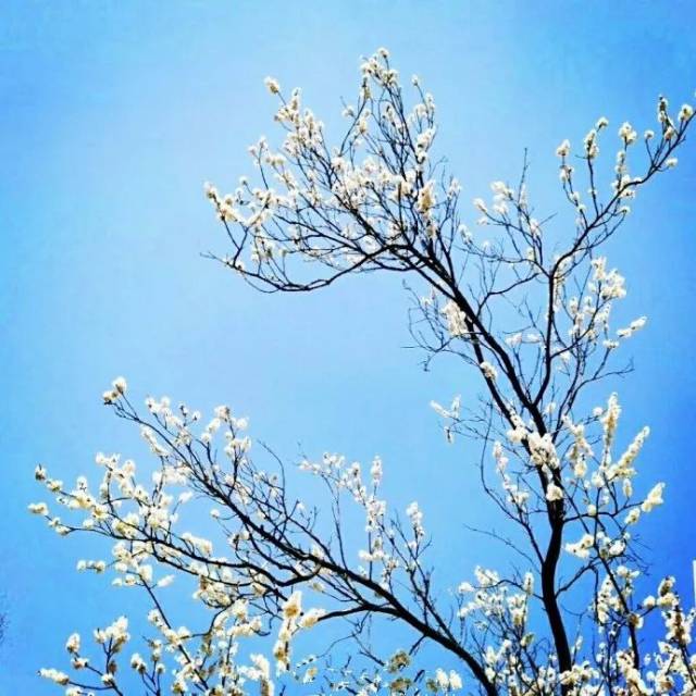 太原7所高校被国务院点名!10所高校大比拼!你的母校上榜了吗?