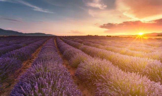 流行色之旅 普罗旺斯篇