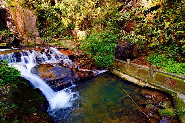 南昌神龙潭,不仅有三颗神奇的千年古树,还有美丽的脚鱼传说!