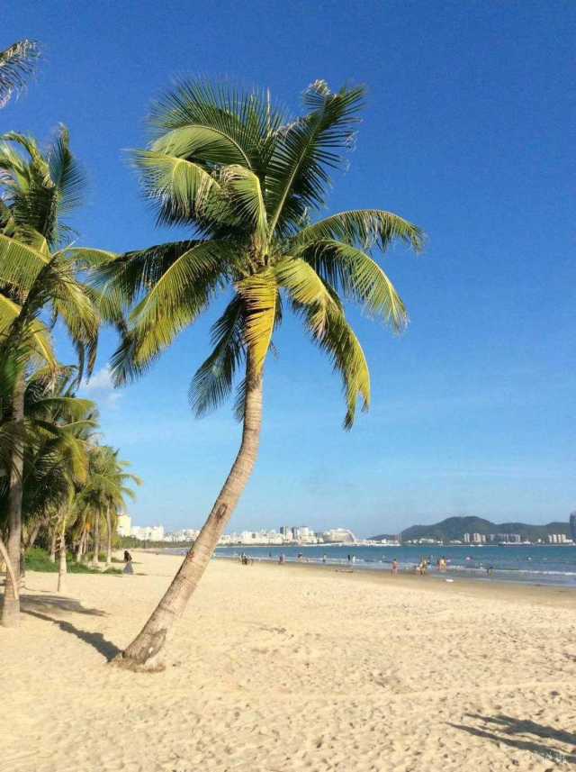 这样的海景图,完全可以用作电脑和手机壁纸了