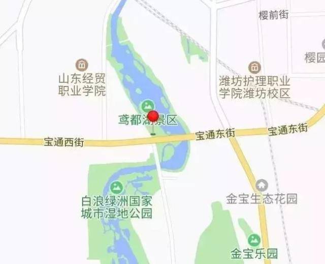 濰坊市奎文區機場路與寶通街路口南200米白浪綠洲溼地公園內.