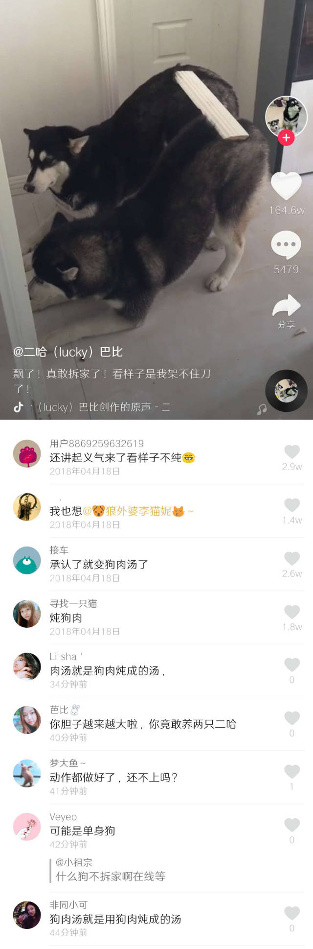 新鲜出炉的抖音搞笑神评论,宛如笑成一个智障