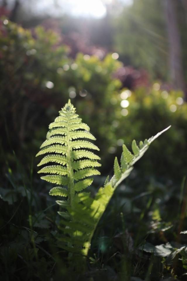 佳能微单 m50 轻松胜任旅游拍照任务