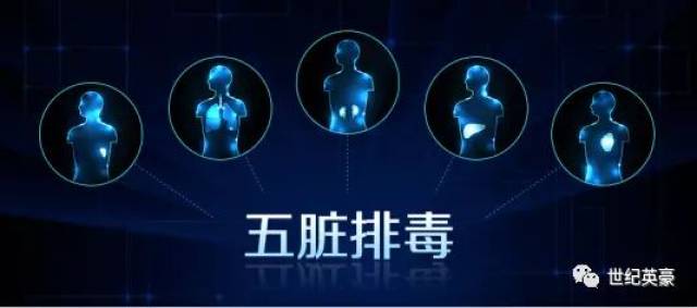 解读体雕价格背后的秘密