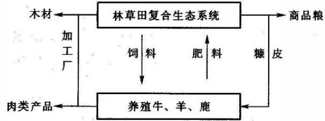 农林牧复合生态模式是指借助接口技术或资源利用在时空上的互补性所