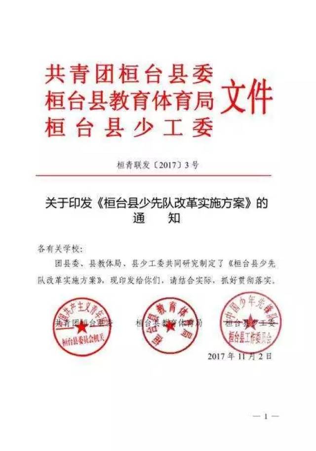 根据淄博市少工委少代会工作细则制定《桓台县学校少先队代表大会工作