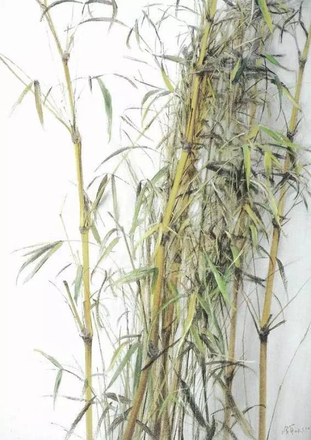 冷军的油画竹子和90后大叔池静山笔下的国画墨竹，你更喜欢哪个呢？_搜狐网