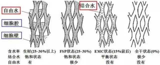 木材干燥新技术层出不穷，传统窑干仍是尚佳之选！_手机搜狐网