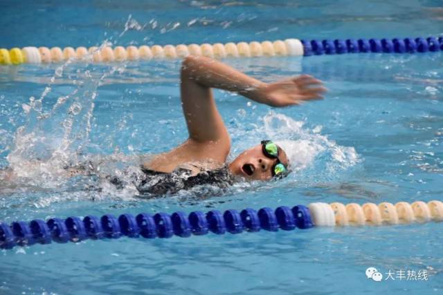 在大丰举行的一场,堪比国家赛事的游泳比赛!