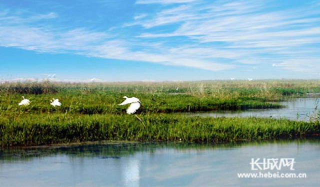 海兴湿地公园图片