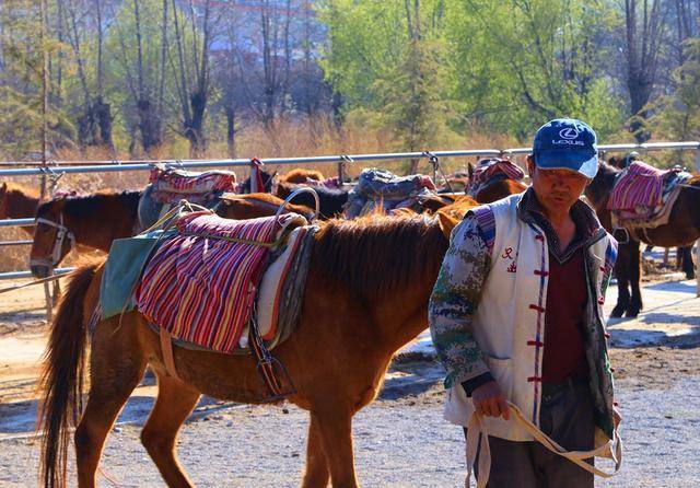 给我们六个带队的马夫也是地道的纳西族人,很热心很淳朴.