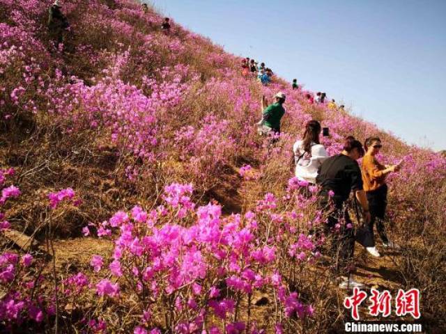 丰宁南关映山红景区图片