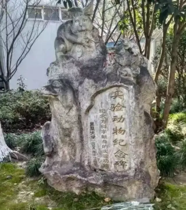 复旦大学设立的实验动物纪念碑