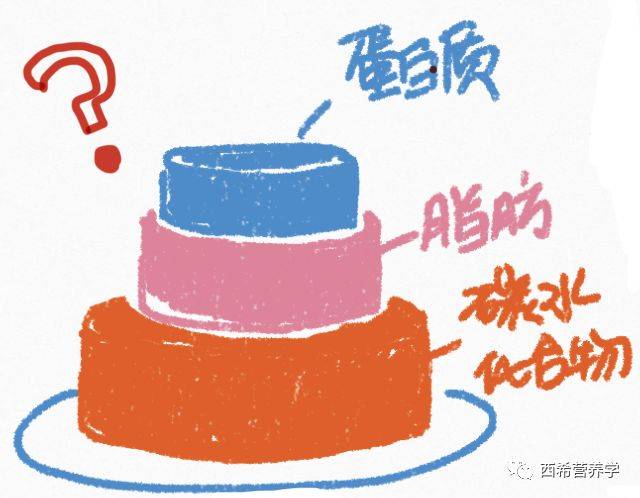 【郑西希】寻找三大营养素的完美比例