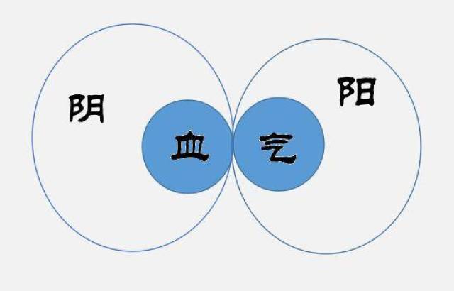 中医的气血,阴阳概念,具体是什么样子
