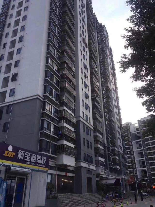 龙华《金湖雅苑》村委楼