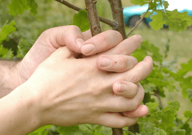 手指甲上的月牙白,真的与健康有必然的关联?听