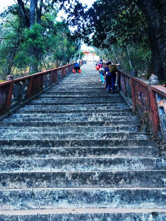 鸡足山报恩寺电话图片