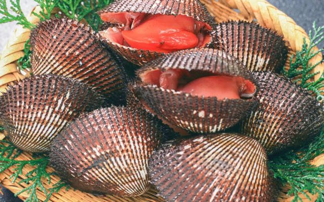 经常住海边的你,真的了解赤贝吗?