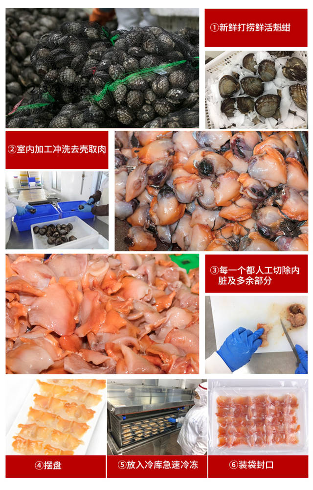 赤贝加工