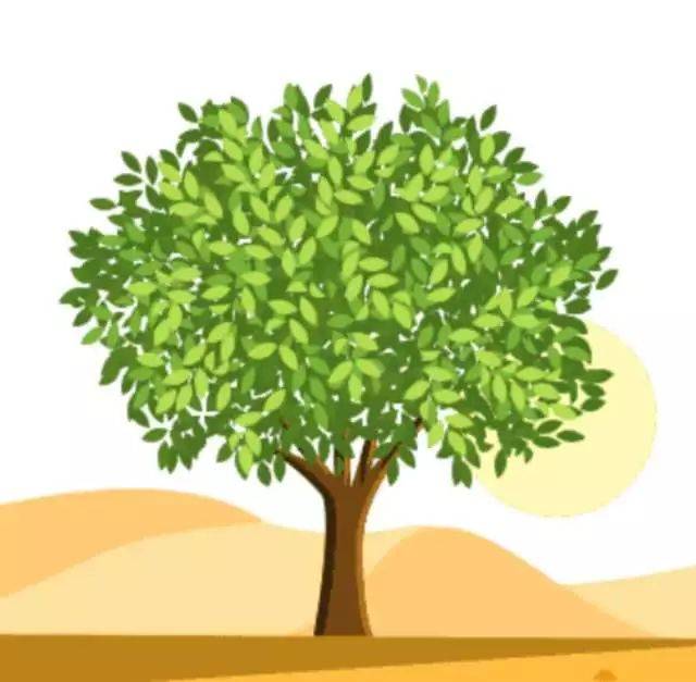 胡杨:100g   如图的口号是下列哪一历史事件提出的(). a.北伐战争 c.