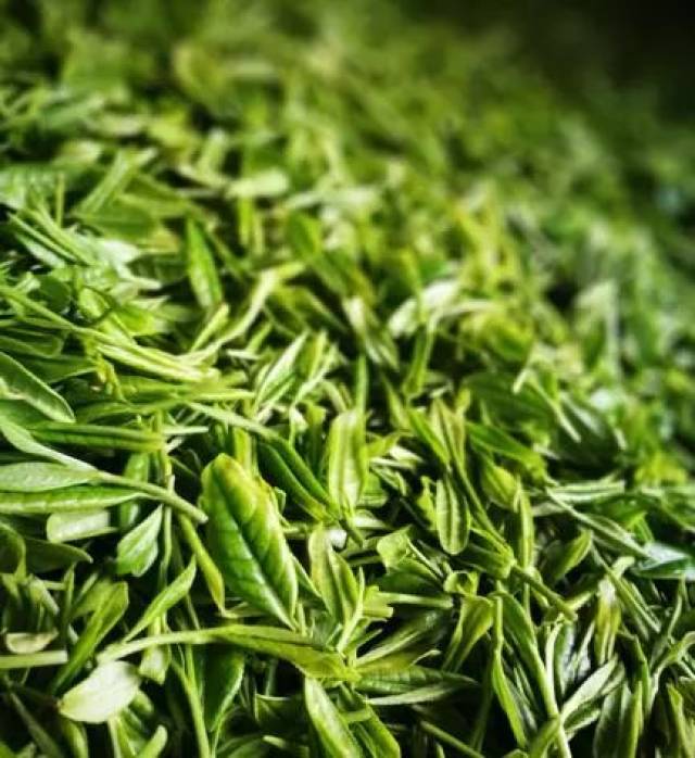 苦涩的茶叶就是坏茶么不一定