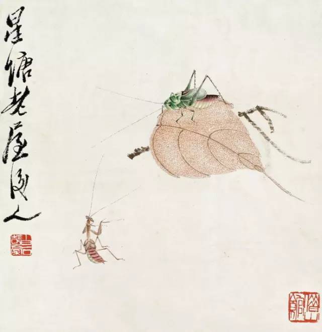 齐白石画草虫：小生命，大境界！_搜狐网