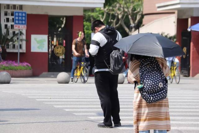 交通安全反思日丨走路玩手机的你,在车流里的样子真令人担心