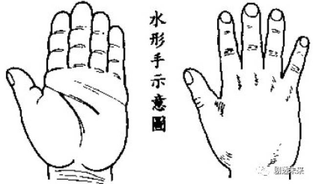从传统的角度解读手相的秘密——简单学手相,识人有保障⑥