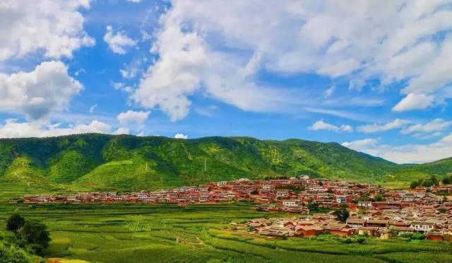 还在高速上"浪"的攀枝花人赶紧回来!这些地方人少景美还不堵车!