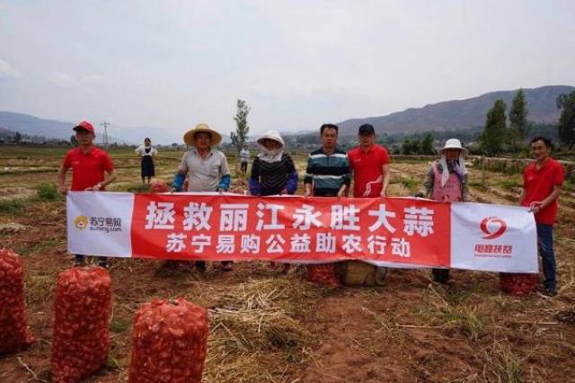 苏宁易购公益助农行动——拯救丽江永胜大蒜