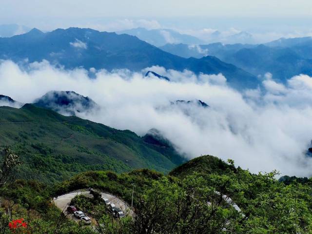 烟雨迷雾,人间仙境—老王山