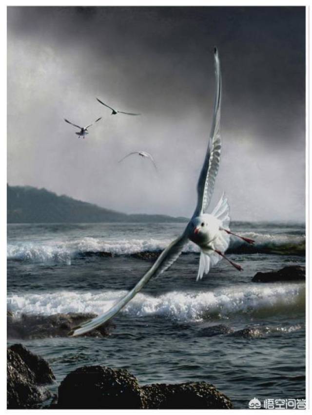 俄罗斯将核动力巡航导弹命名为海燕有何喻义