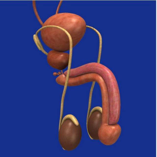全球最完整"丁丁"移植手术获得成功,华裔医生带领 11
