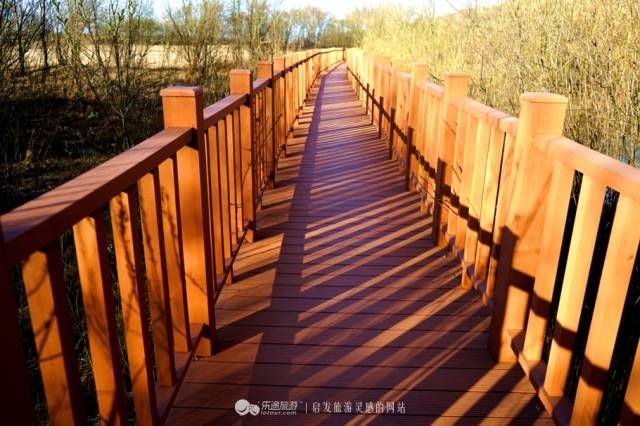 行路呼玛,亲历那些朴树的歌