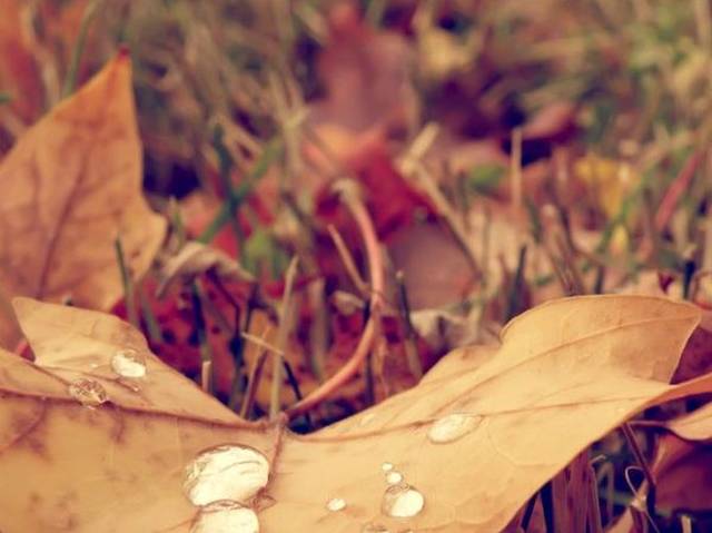 100句最伤感的爱情句子,你的绝情让我学会死心