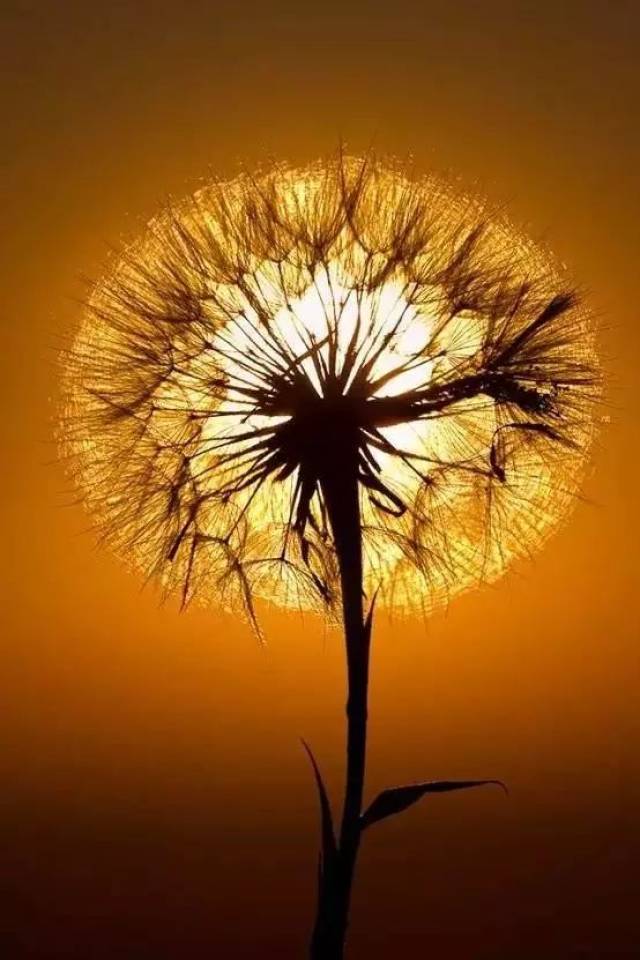 好照片一张就够了太阳特写怎么拍才有意境