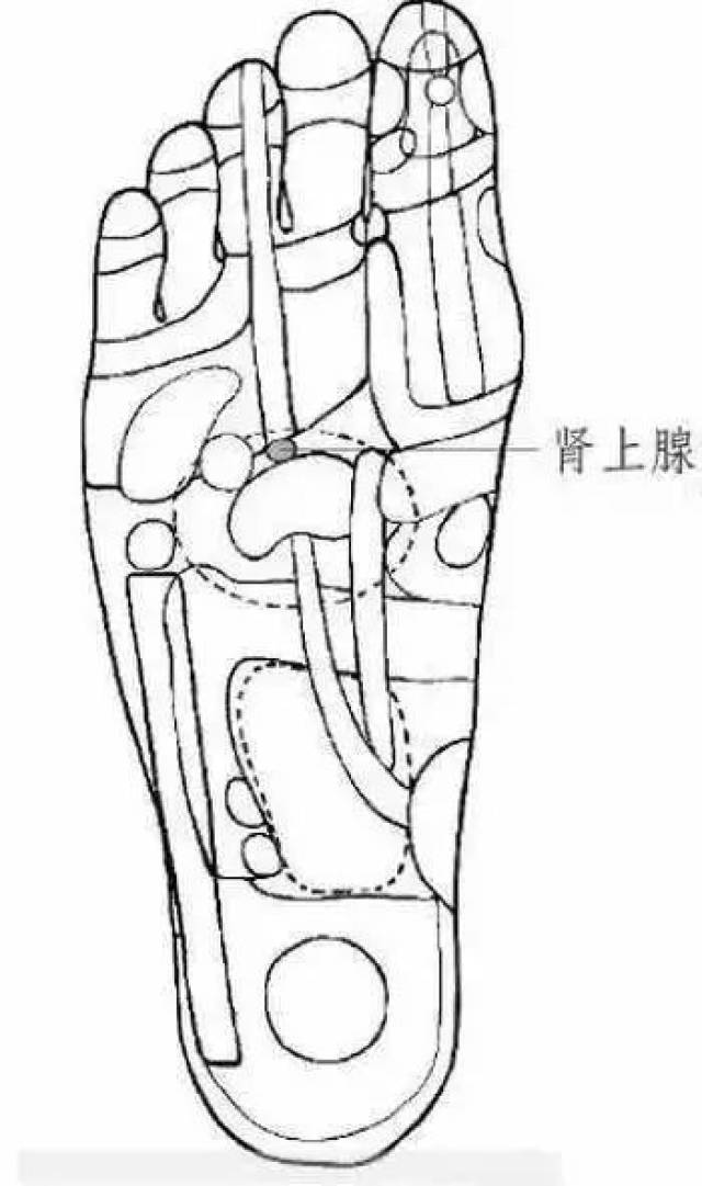 脚底肾上腺反射区,解缓胸闷气短!