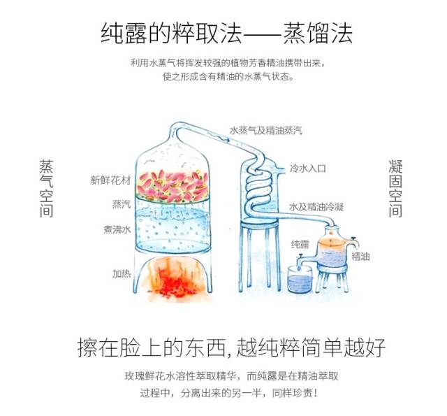 纯露和爽肤水的区别,纯露怎么用?