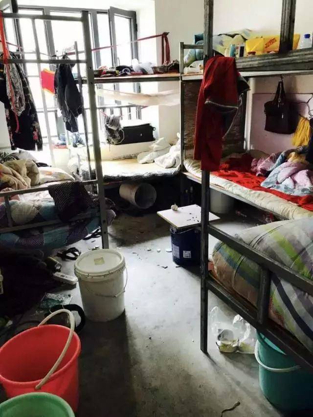 星光岛住宅做日租房?看看业主的评论!