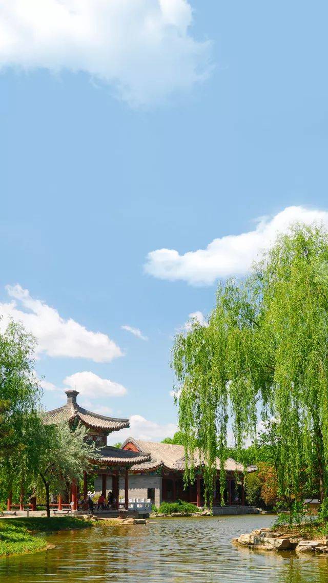 廿四生息丨春光漫影去 夏日初长成