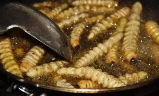 在中国,天牛幼虫又叫"蝤蛴",一条幼虫就能把树木蛀空.