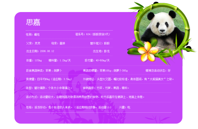 大熊猫资料大全表格图片