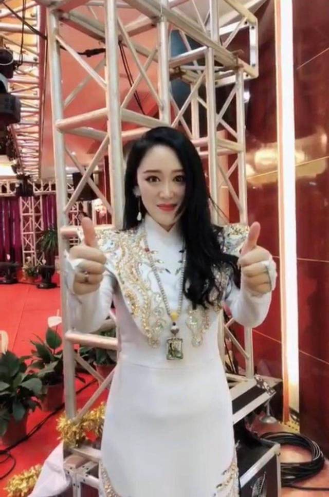 正能量女神章雨轩受邀参加广东紫金群星演唱会