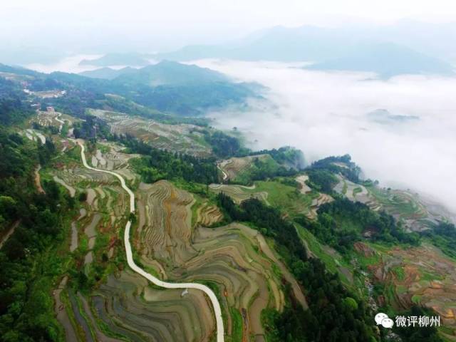 航拍融水拱洞鄉龍培梯田.