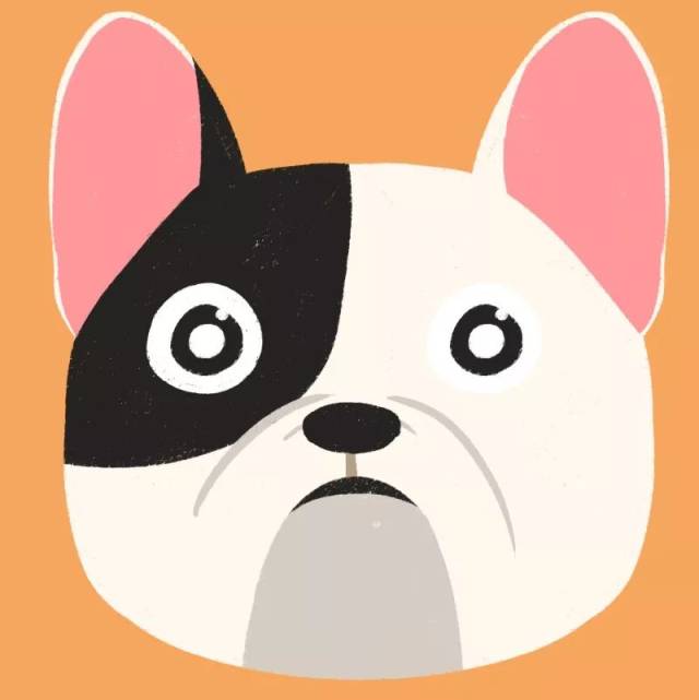 汪星人耳朵图鉴激萌来袭!